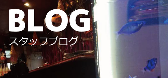 お客様の声 お客様の声